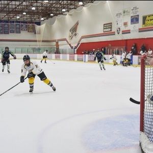 Meet your Posher, Carter